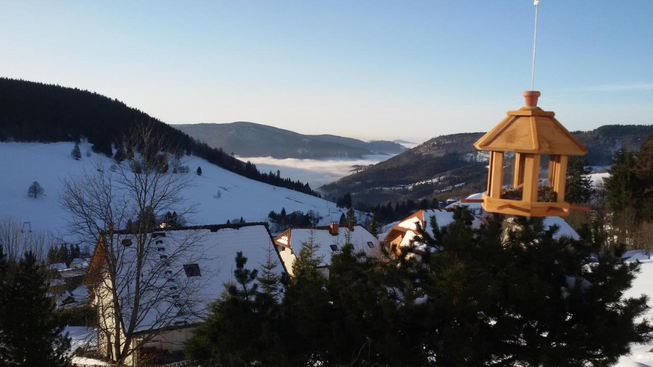 Schoene Aussicht Todtnau Exterior photo