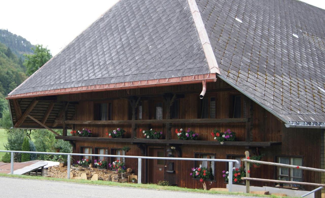 Schoene Aussicht Todtnau Exterior photo