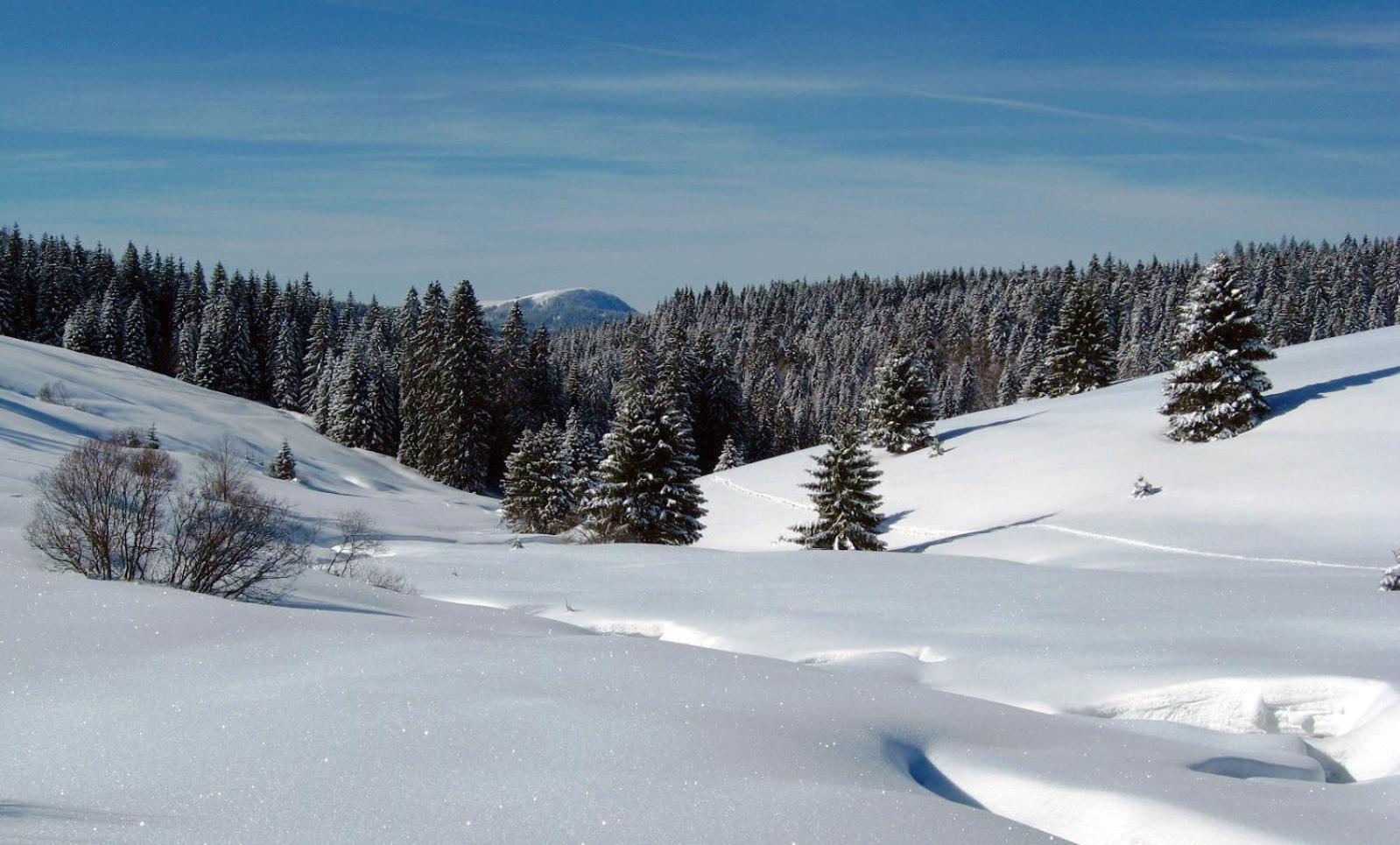 Schoene Aussicht Todtnau Exterior photo